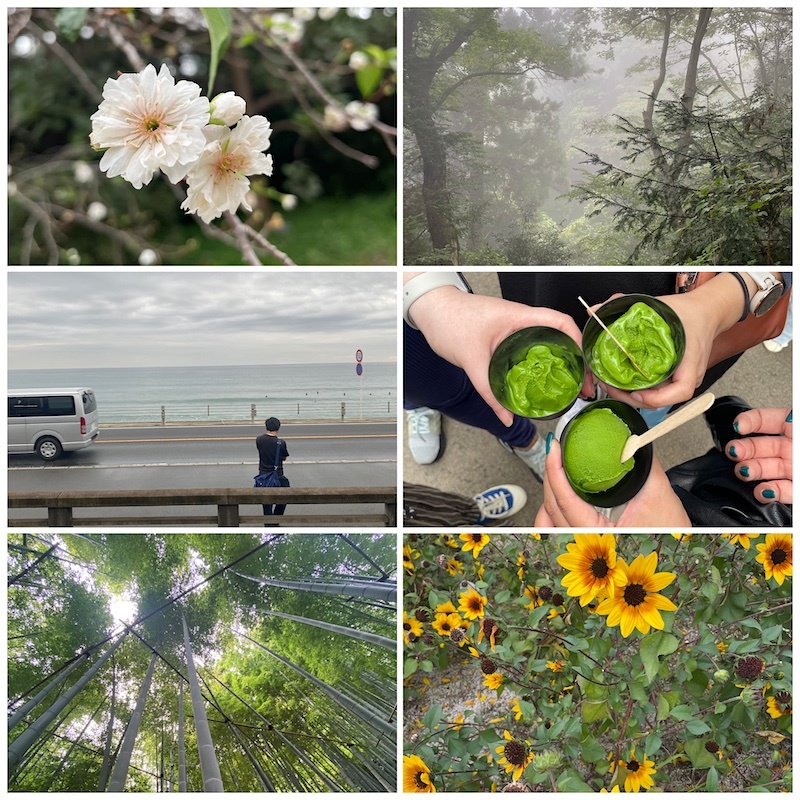 a series of photos from my trip: sparse and white plum blossoms, a misty forest, the seaside that the slam dunk opening was based on, matcha ice cream, a bamboo forest, sunflowers