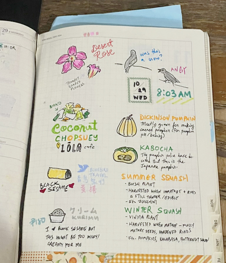 journal photo: flora, fauna, and food